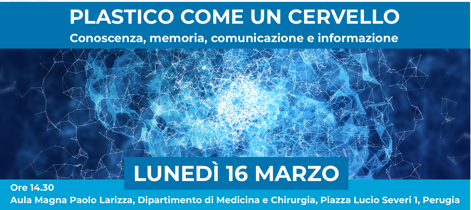 PLASTICO COME UN CERVELLO.  Conoscenza , Memoria , Comunicazione e Informazione